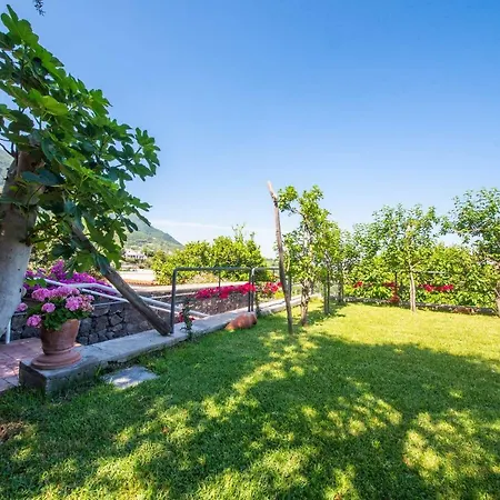 Lägenhetshotell Ischia La Sentinella *